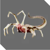 Facehugger