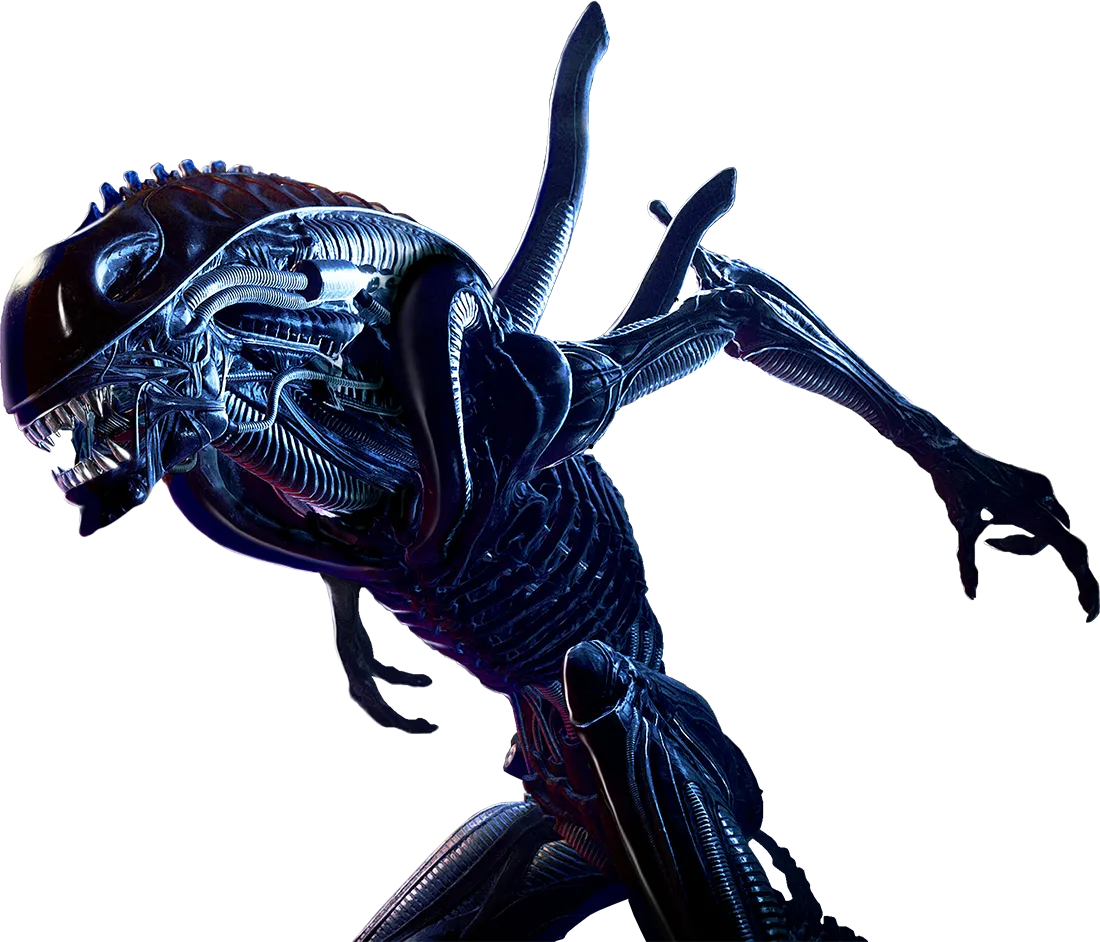 Xenomorph Warrior